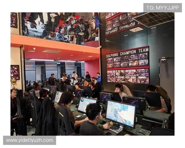 完美电竞国际娱乐：2024年最受欢迎的电竞娱乐项目盘点