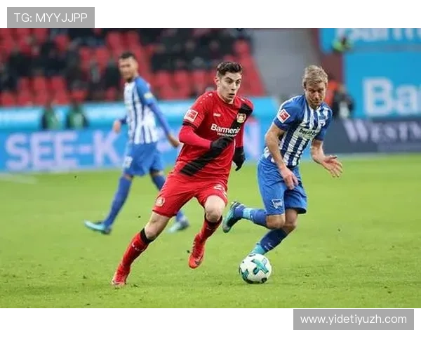 完美体育365wm提供的多元化体育赛事覆盖范围及投注策略推荐