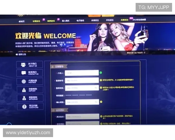 最新百家乐入口平台推荐，确保玩家游戏安全与资金保障