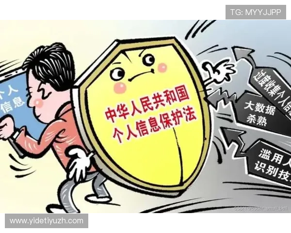 多米体育游戏网址安全保障措施，确保玩家在游戏过程中信息安全与隐私保护