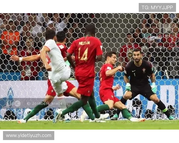 如何通过半岛体育在线网站获取最权威的体育新闻与赛事资讯